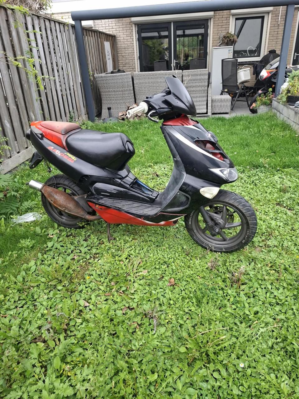 Aprilia rs50