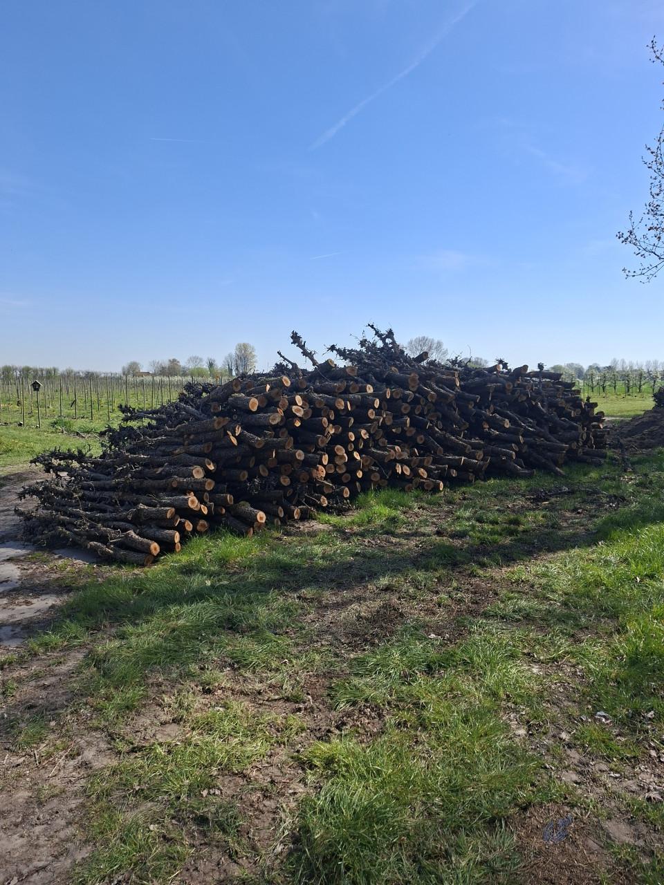 Openhaard hout