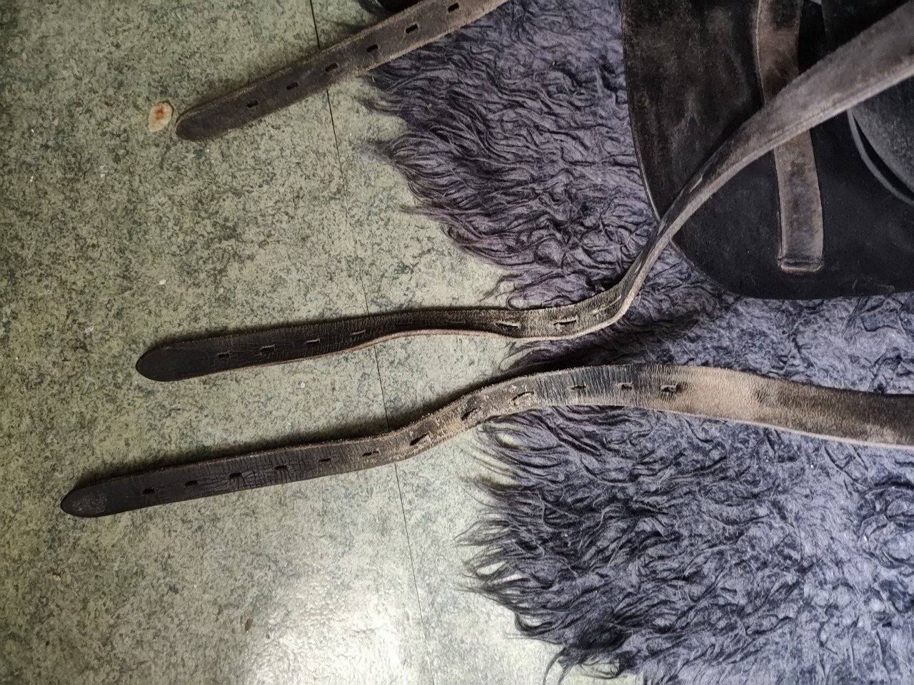 Kentaur Artemis 18,5 dressuur
