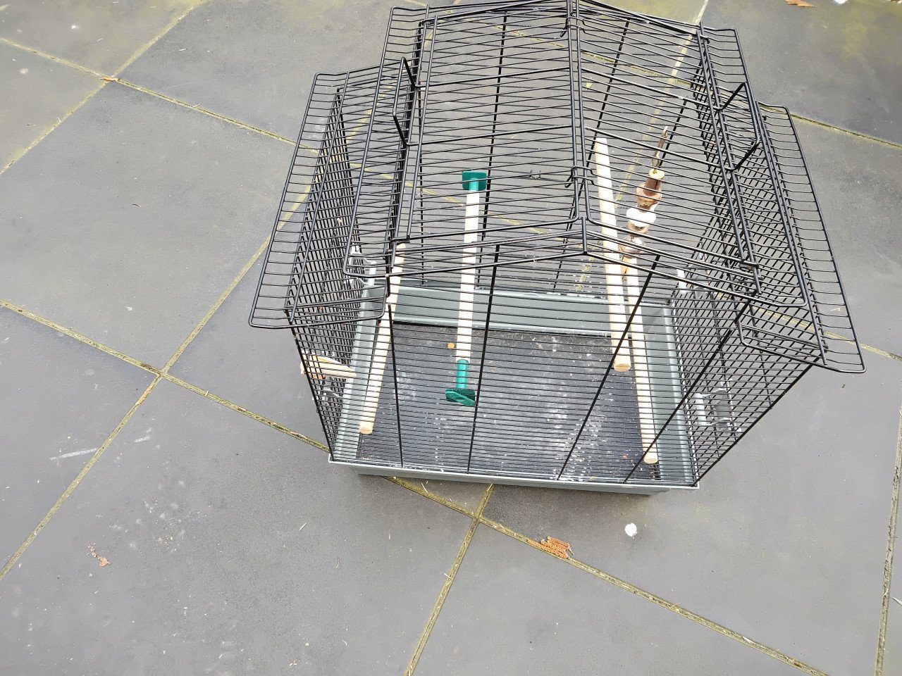 Vogelkooi