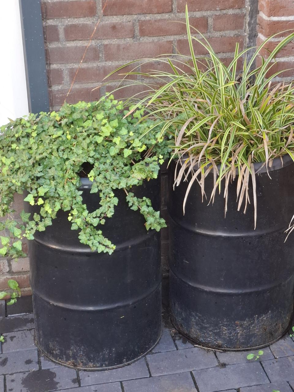 3 stuks 60 liter olievaten