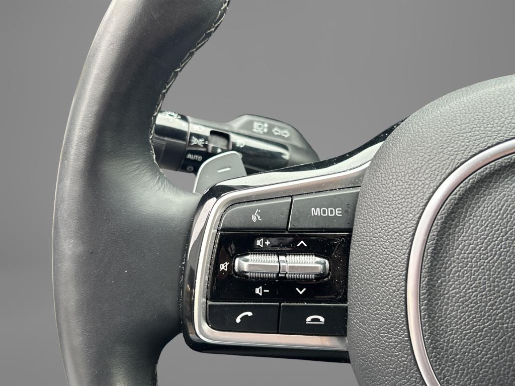 Kia Sorento 1.6 t-gdi hybrid 2wd executiveline 5p. | panoramakak | elektris