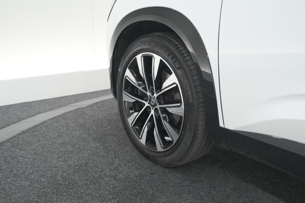 Renault Austral 1.2 e-tech full hybrid 200 techno | 360 camera | panoramada