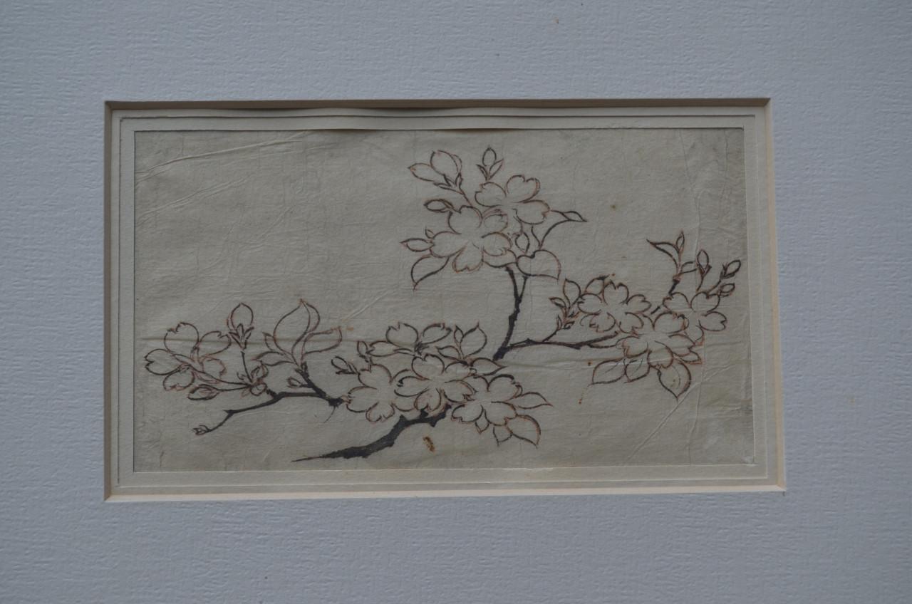 Schitterende oude Japanse tekeningen in passe-partout (3)