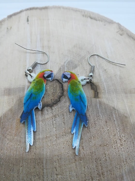 Acryl Oorhangers  NIEUW