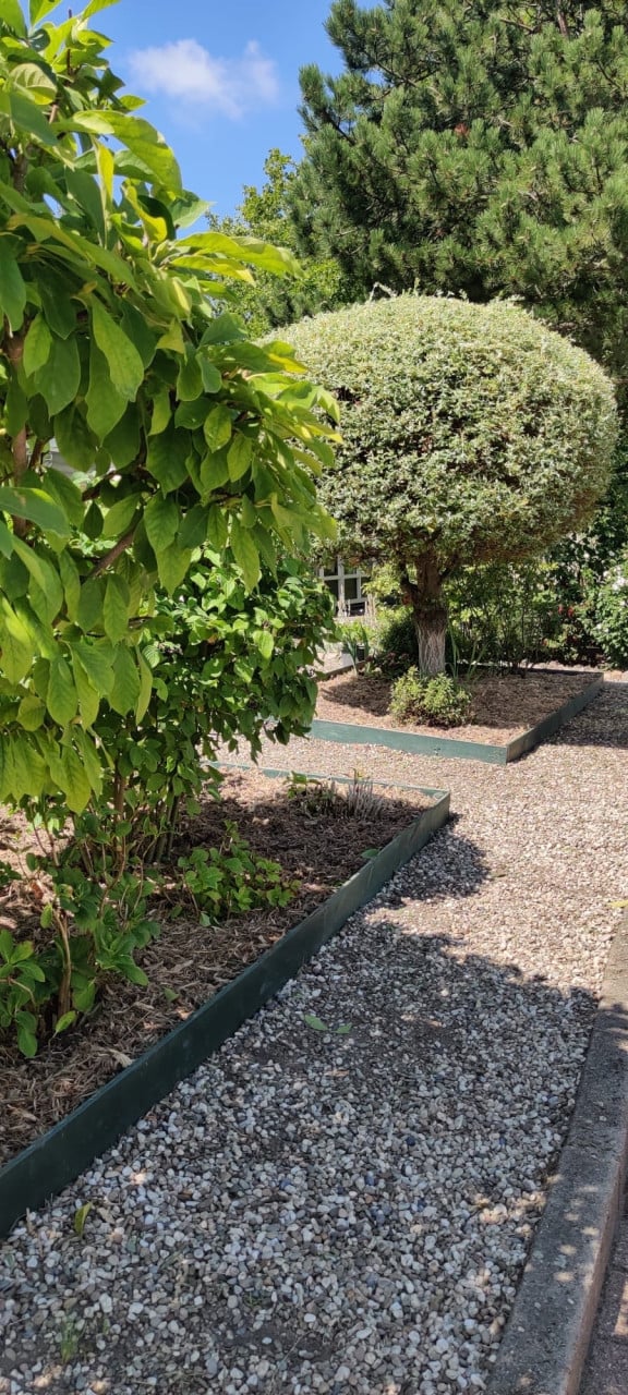 Tuin onderhoud , renovatie
