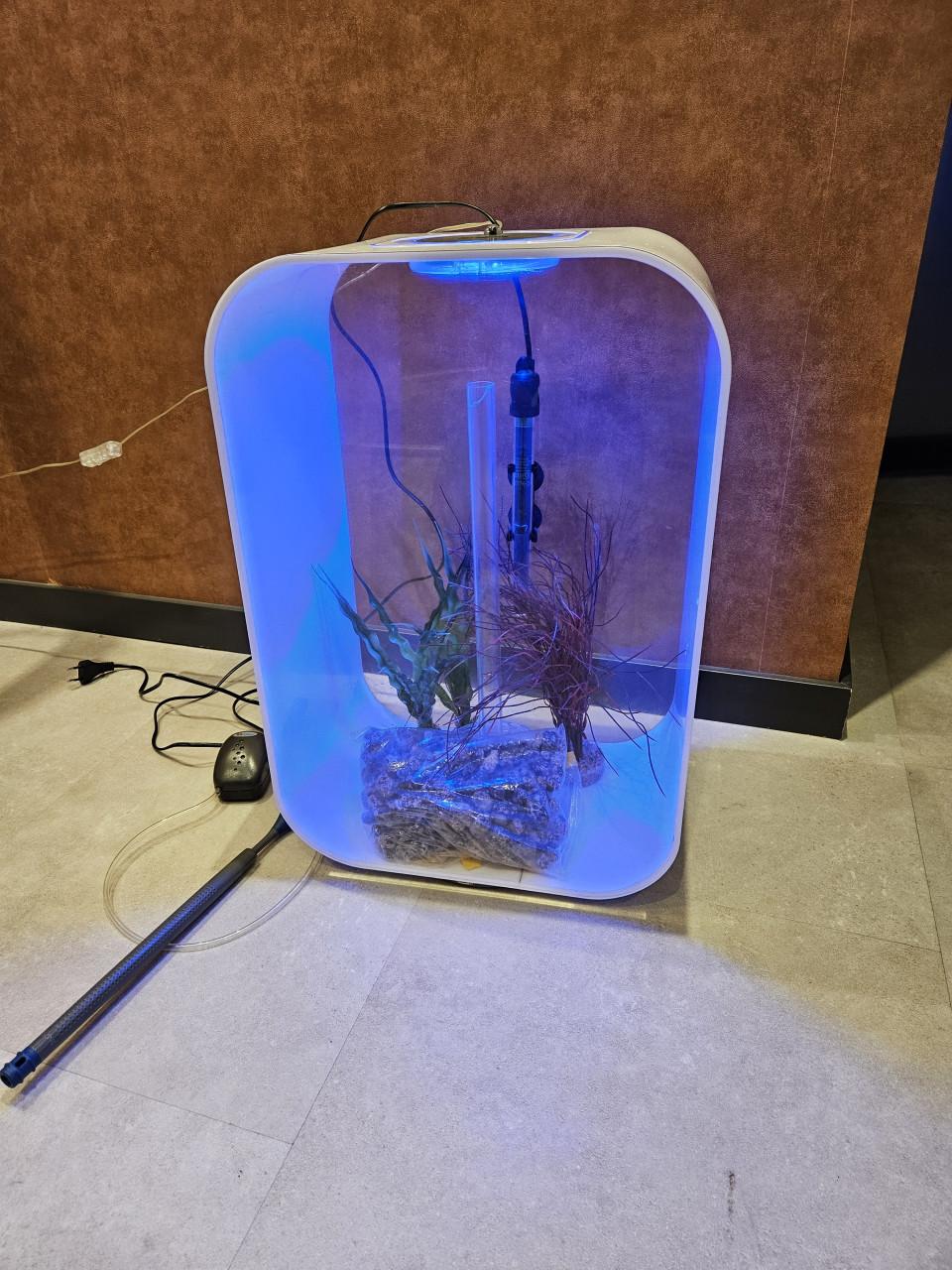 Biorb Life 45 aquarium met leuke accesoires!