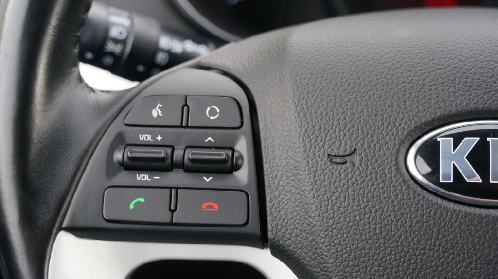 Kia Picanto 1.0 cvvt dynamicline rijklaar incl garantie