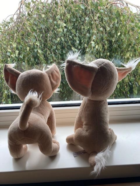 Chihuahua Knuffels, DOMBO, (Jockey)Pony'tjes, Konijn, Smurf, en meer...