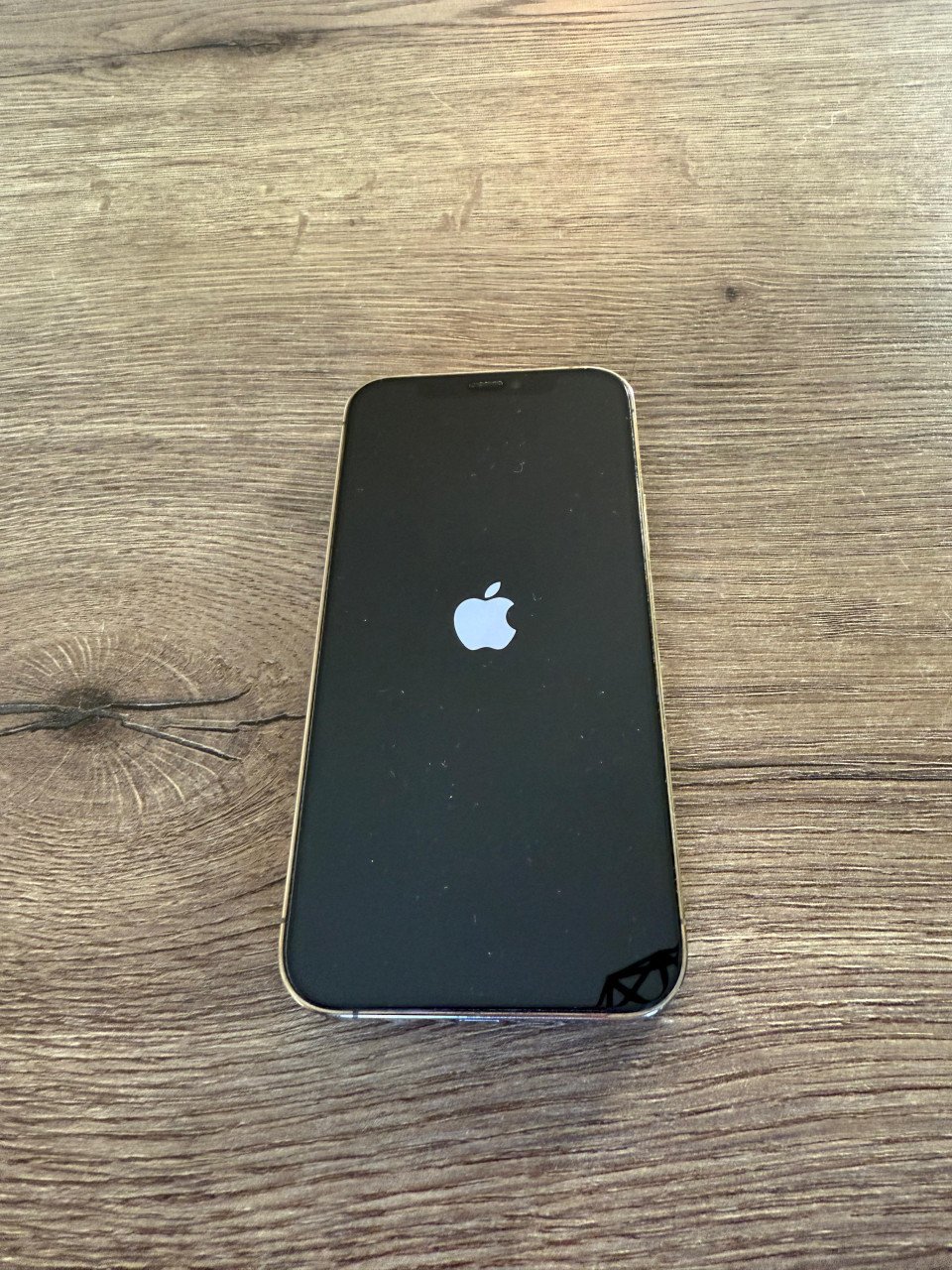 IPhone 12 pro - 128 GB - zilver