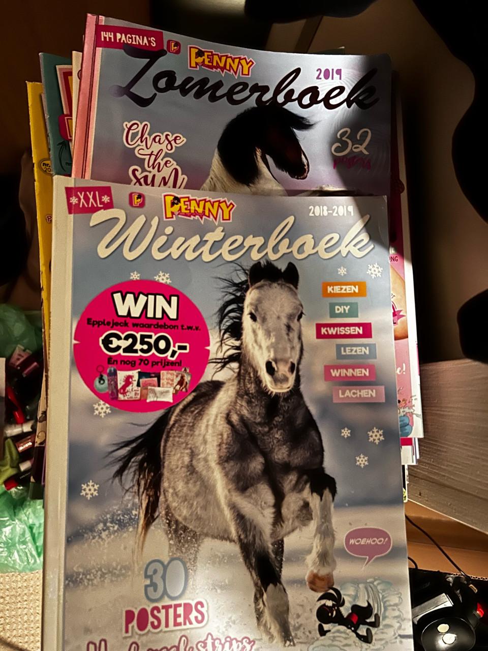 Te koop Penny zomer en winterboek