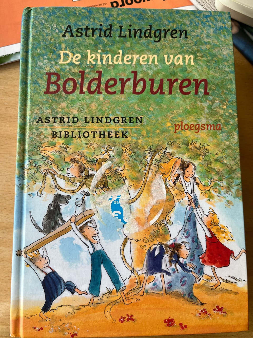 De kinderen van Bolderburen