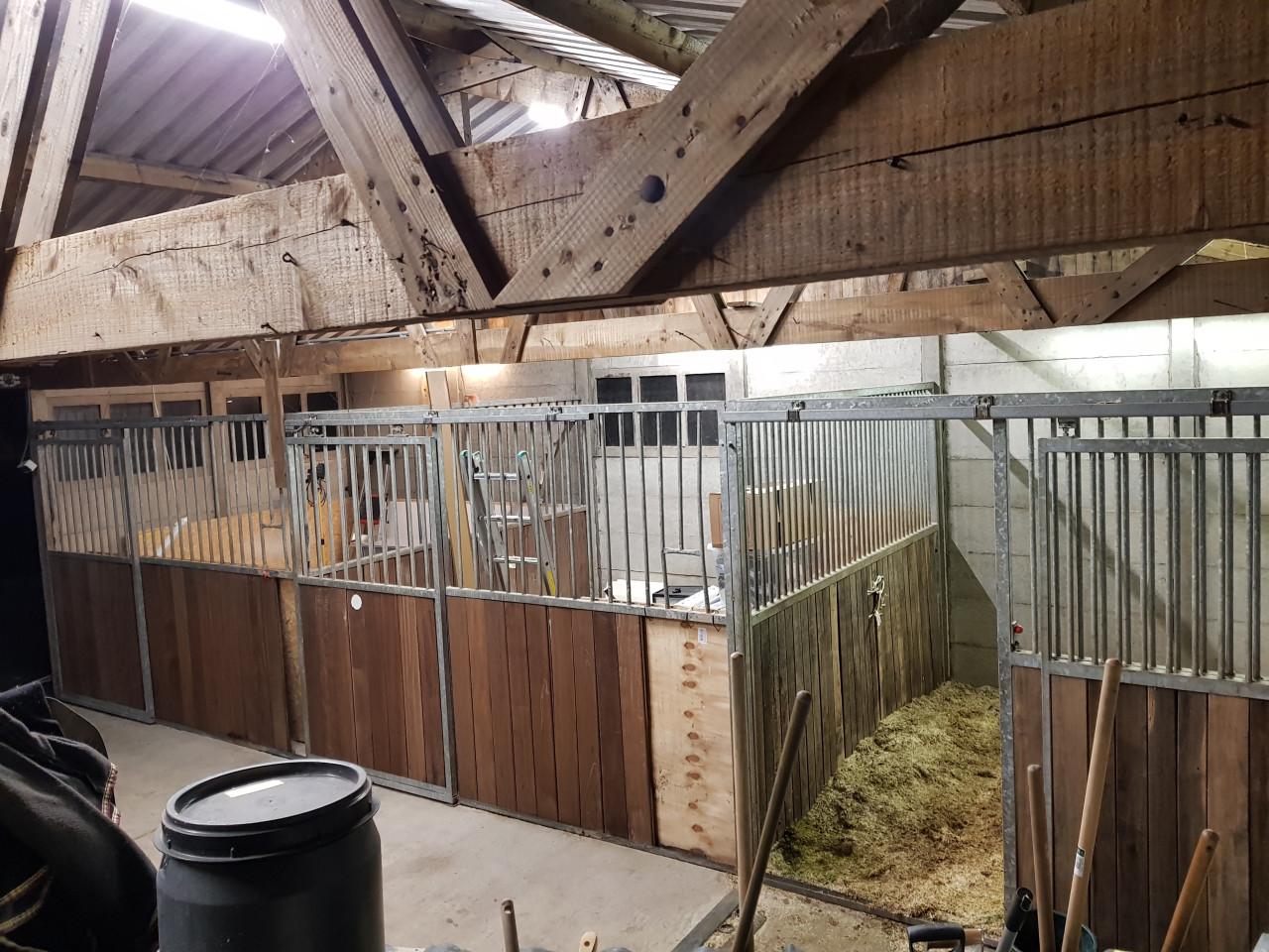 Paardenbox vrij -- rijbak -- paddock -- weidegang