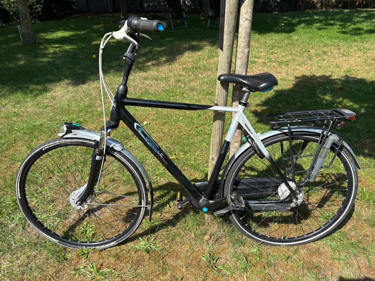 Gazelle Limited Edition herenfiets