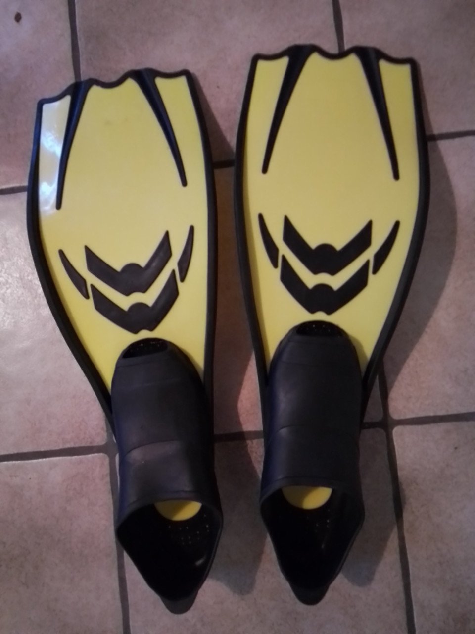 Zwemvliezen / flippers