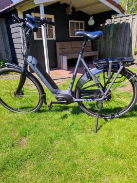 GAZELLE GRENOBLE ARROYO ELITE C8+