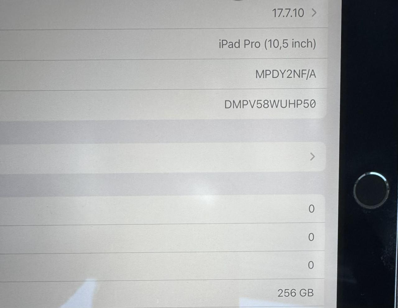 Ipad-pro 256