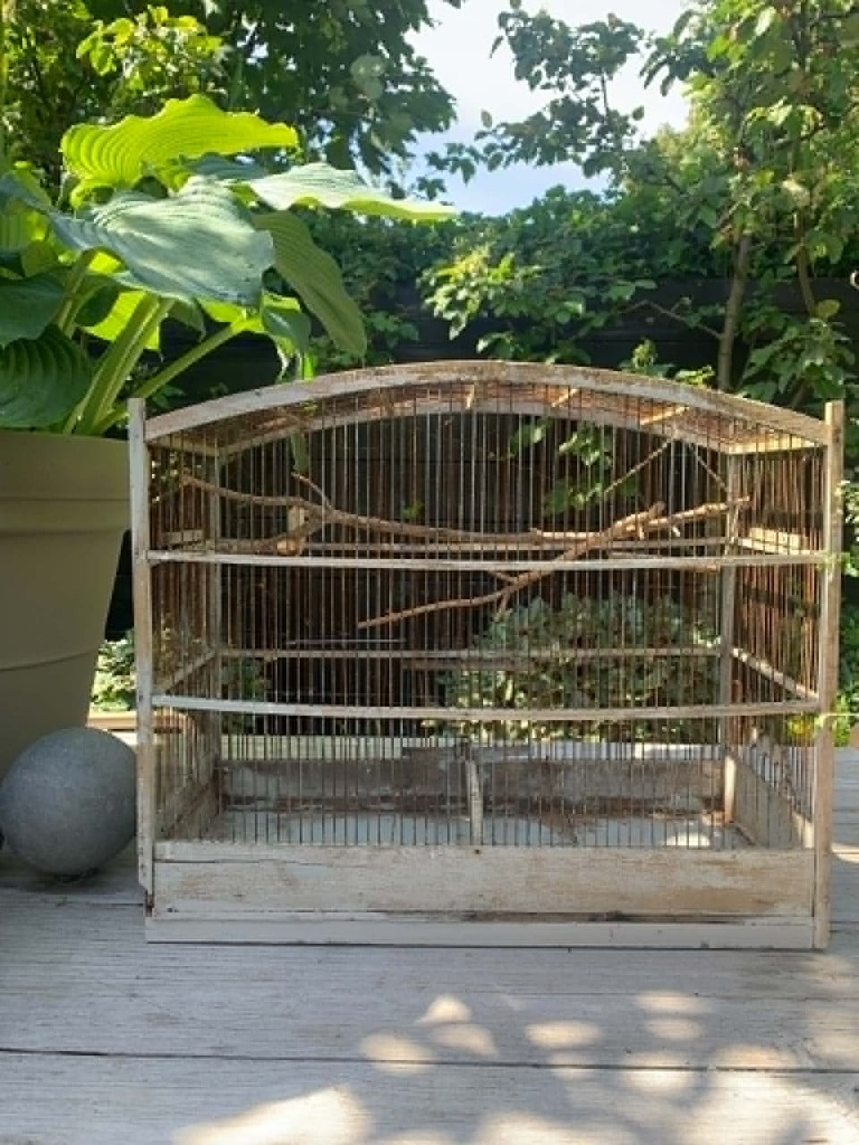 Vogelkooi