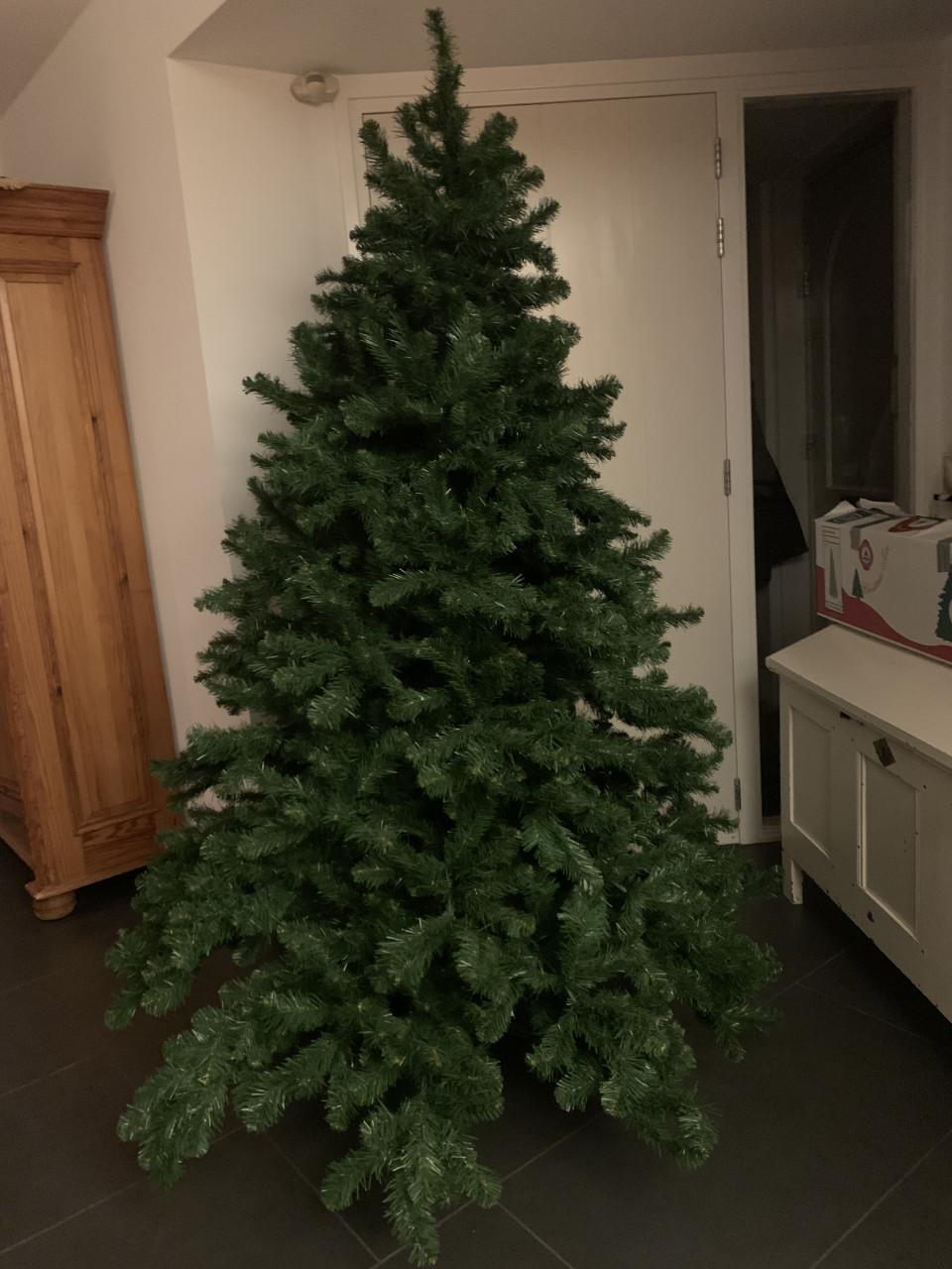 Kerstboom    2.10. M hoog triumph tree