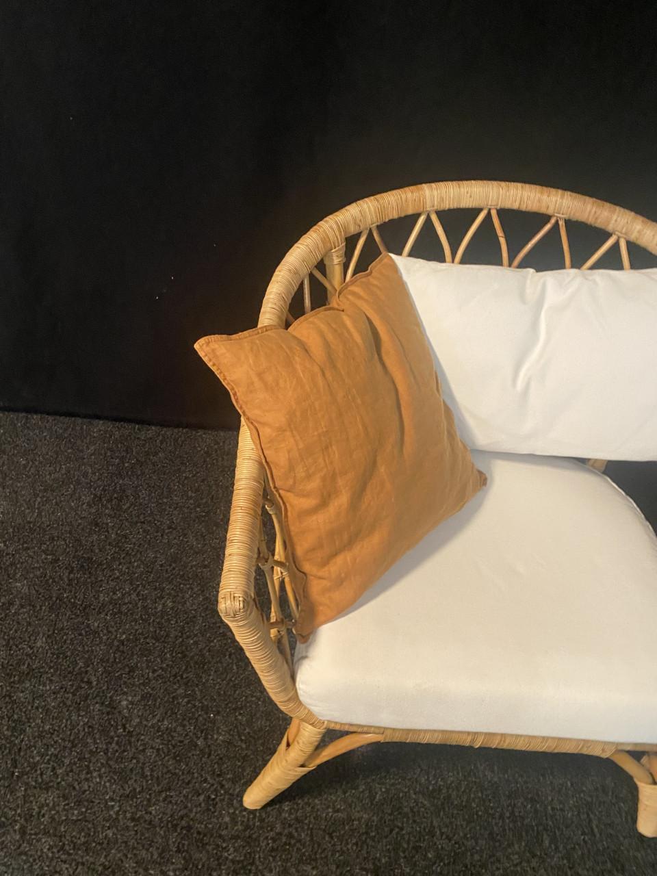 Leuke grote stoel (riet/rotan) incl kussens