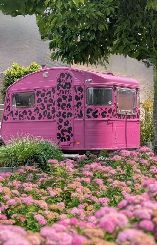 TE HUUR CARAVAN(S)