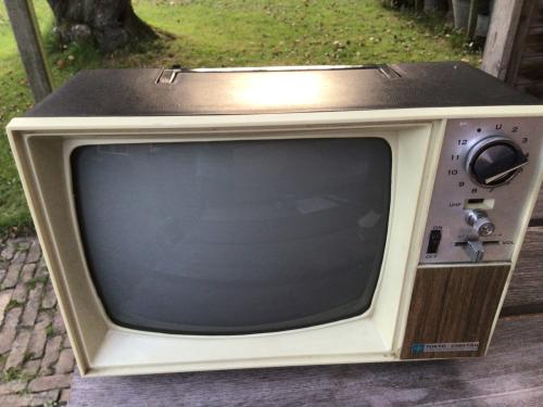 Vintage Transistor tv Tokyo Cheetah