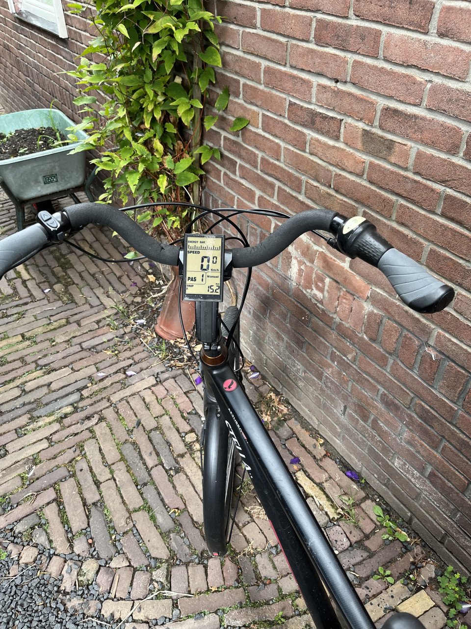 Elektronische fiets