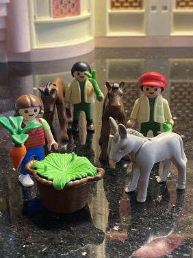 Playmobil jongetjes met paarden en meisje met ezel