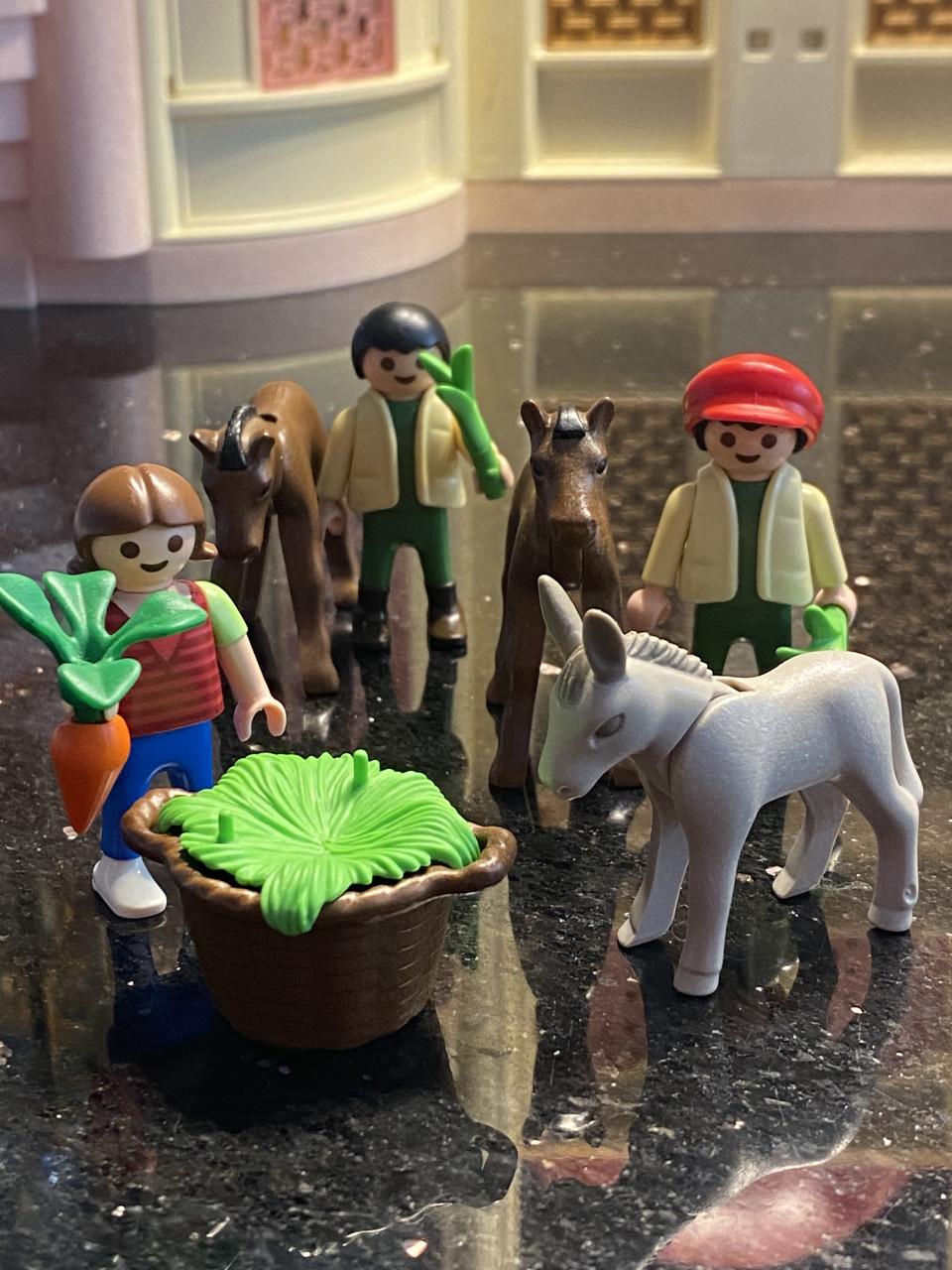 Playmobil jongetjes met paarden en meisje met ezel