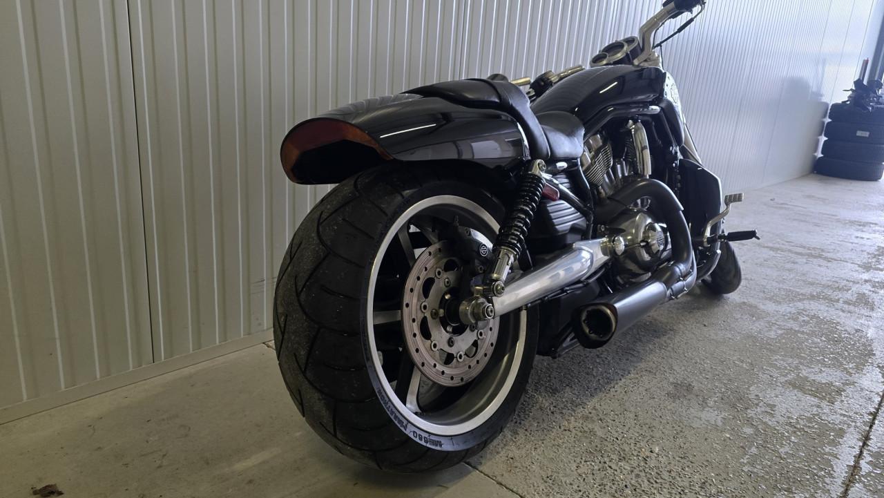 Sportieve Harley-Davidson Night Rod Special