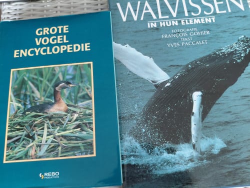 Boeken