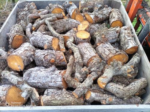 Open haardhout peren pas gerooid