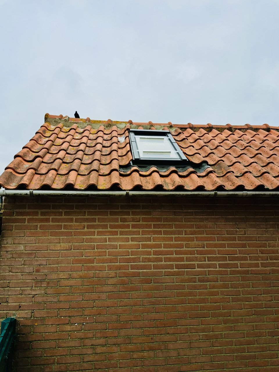 Sfeervol Tiny House te huur in Middelburg (Zeeland)