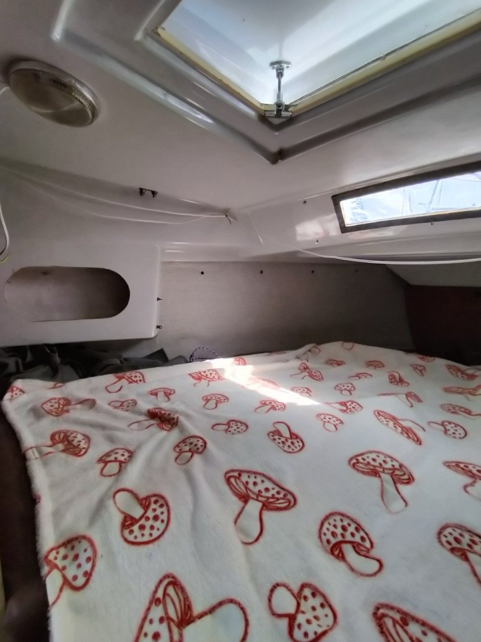 Neptune 22 Zeilboot – Ideaal voor de beginnende zeiler!