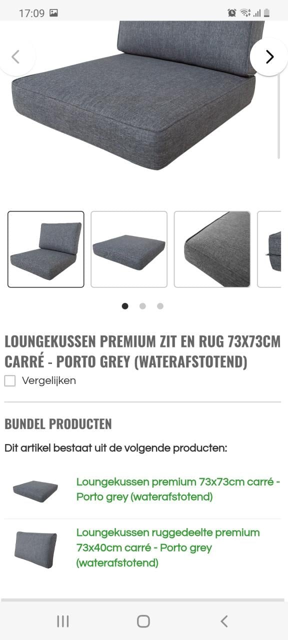 Tuinstoel met kussens