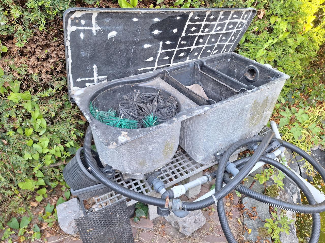 Vijverbak