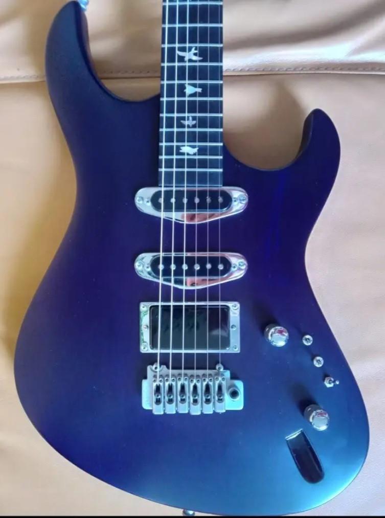 Handgebouwde Zwier Gitaar