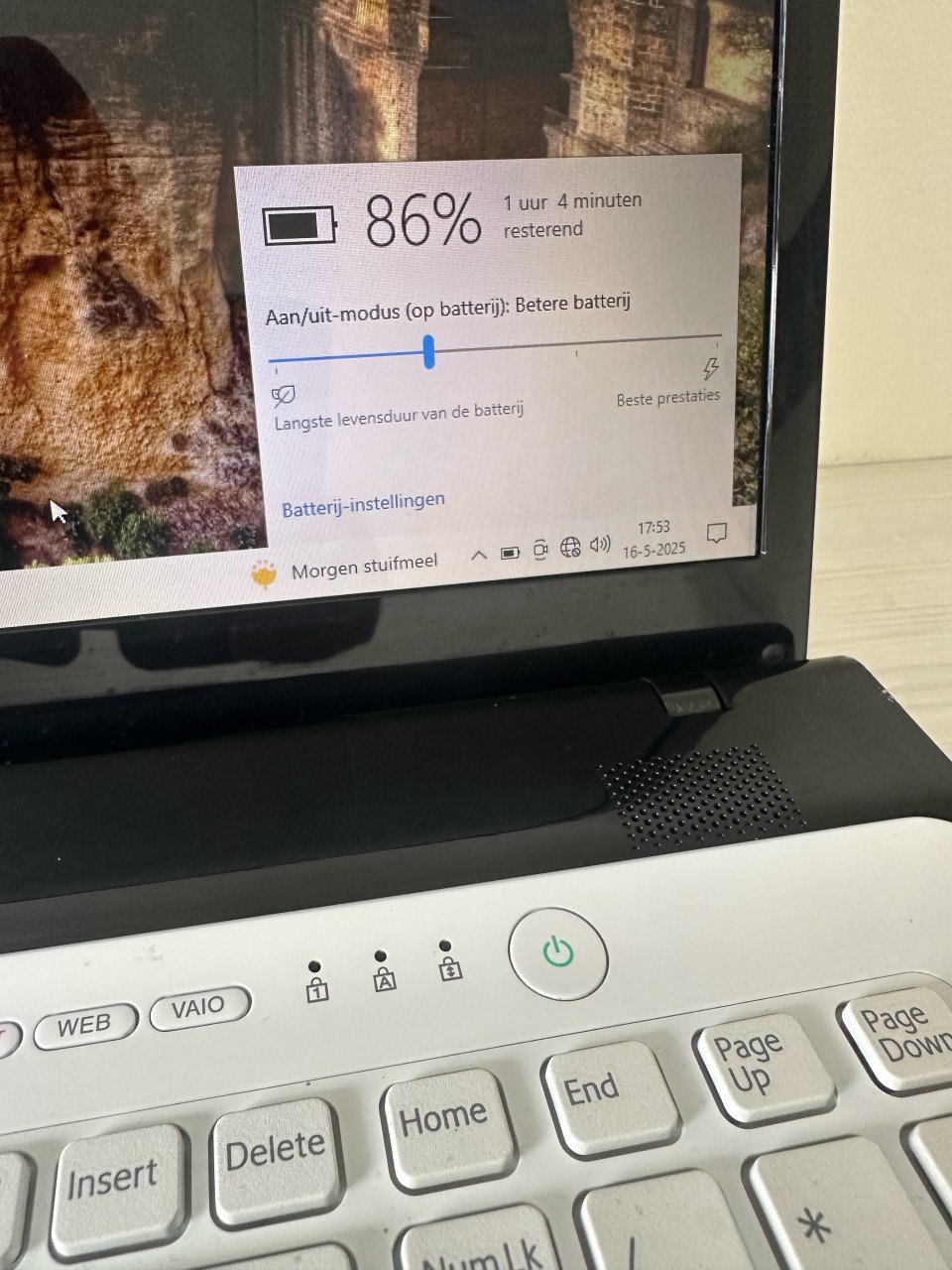 Sony Vario  17inch
