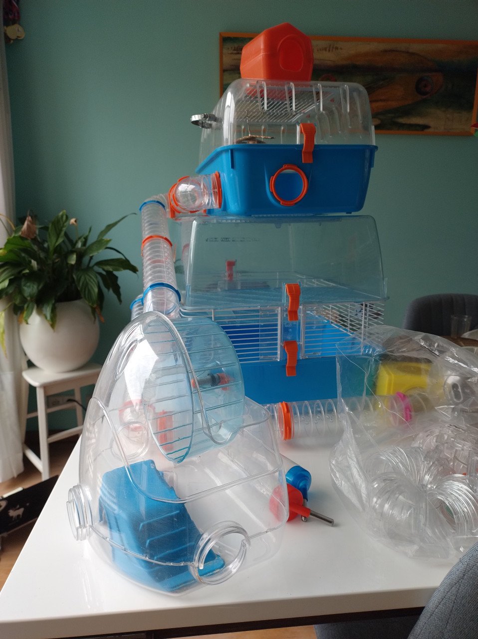 Hamsterkooi en toebehoren