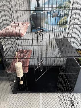 Duvo+ Topline kattenbench 2 deuren