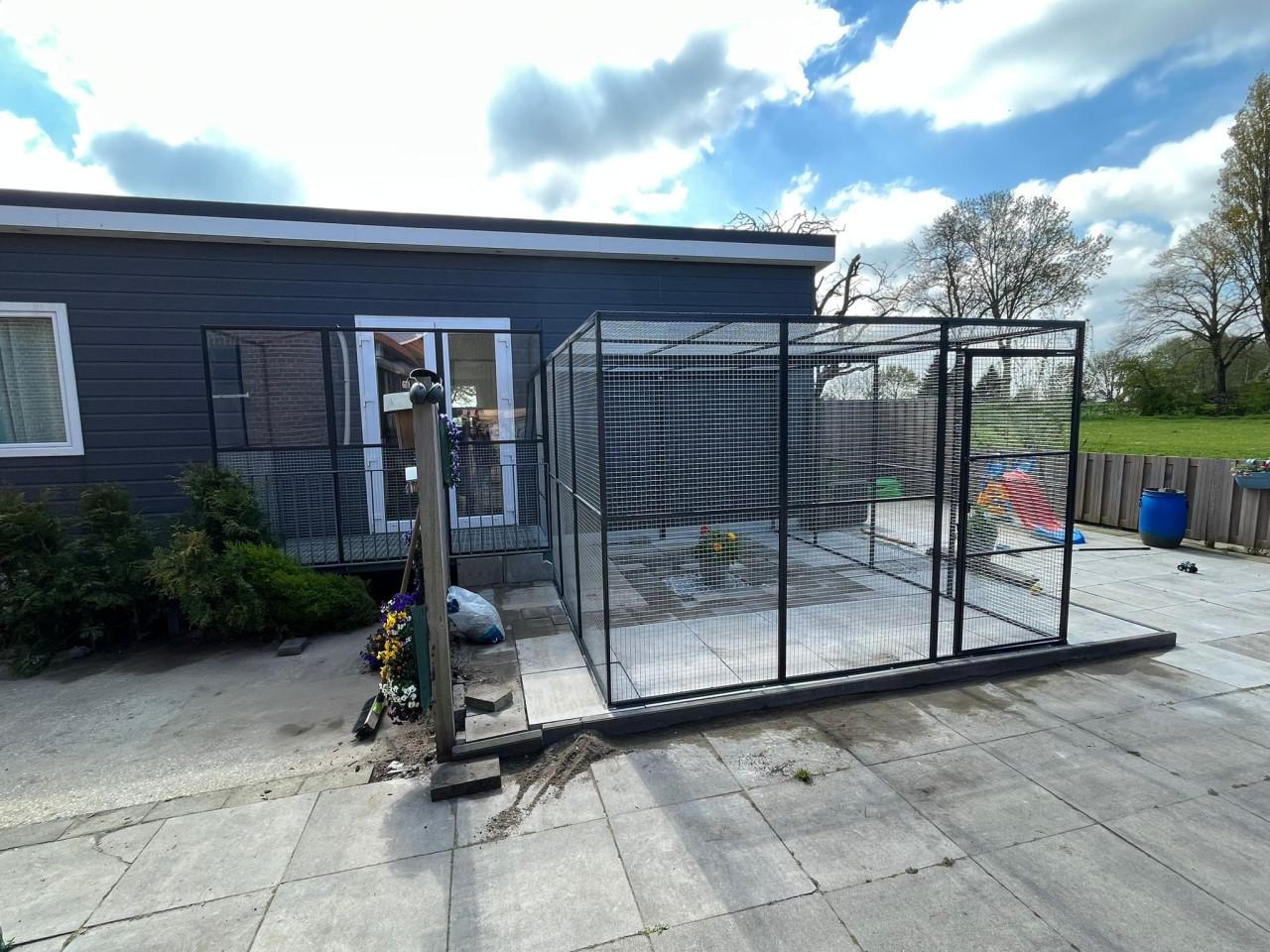 Kattenrennen/verblijven.........