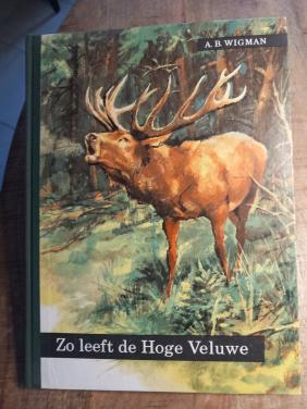 Zo leeft de Hoge Veluwe.