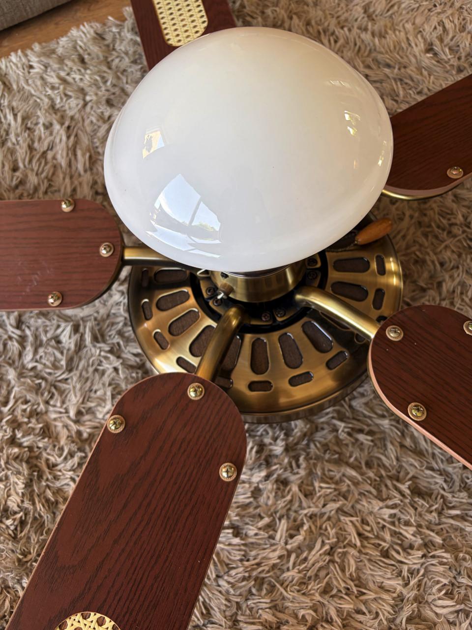 Plafondventilator met licht en webbing bladen zgan