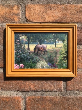 Lijstje met paarden.