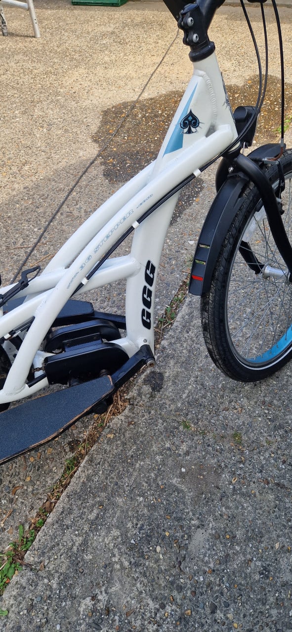 Originele 3GStepperbike