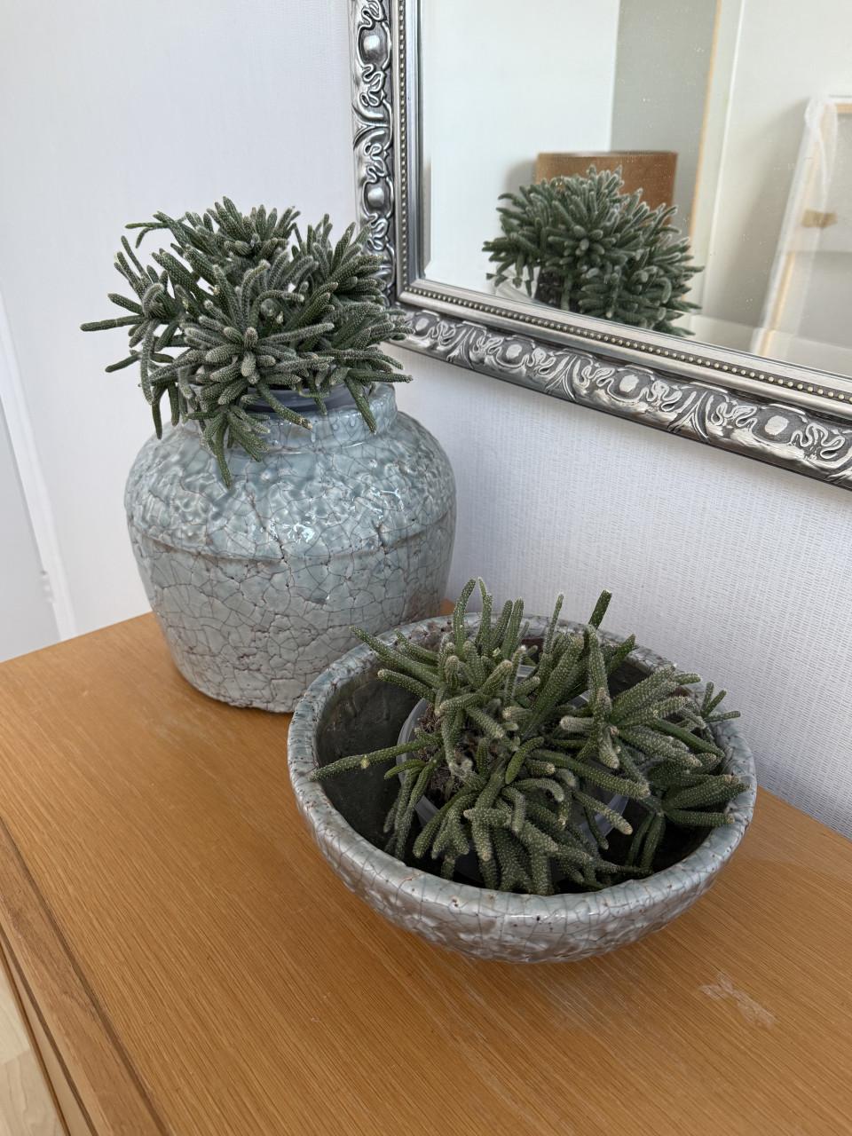 Mooie pot en schaal van PTMD