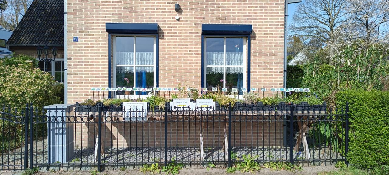 Kom naar ons plantenkraampje, mooie planten voor slechts € 1,25 p/st. !