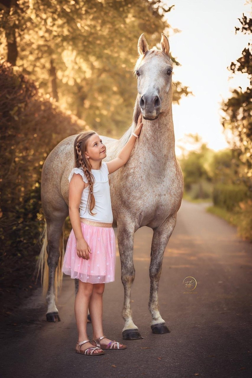 Leuke en lieve pony's te koop