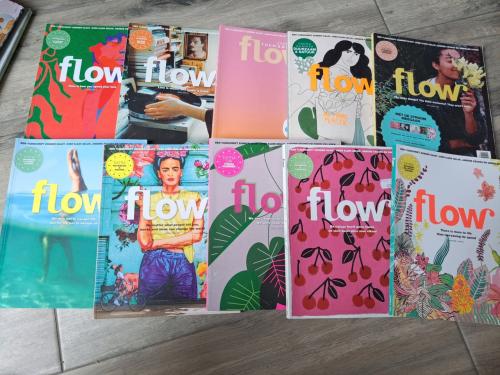 10x Flow