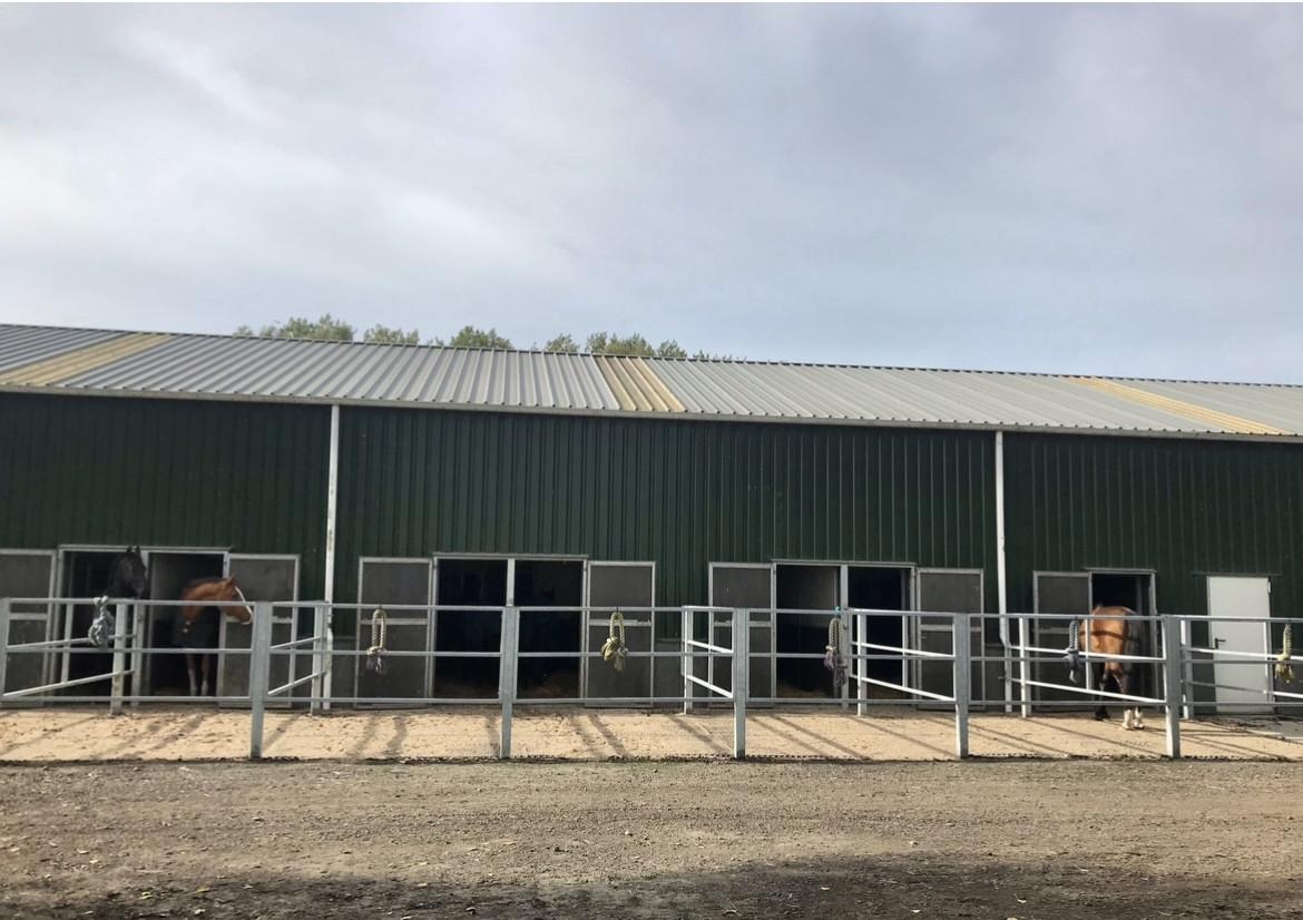 Paardenstalling per direct